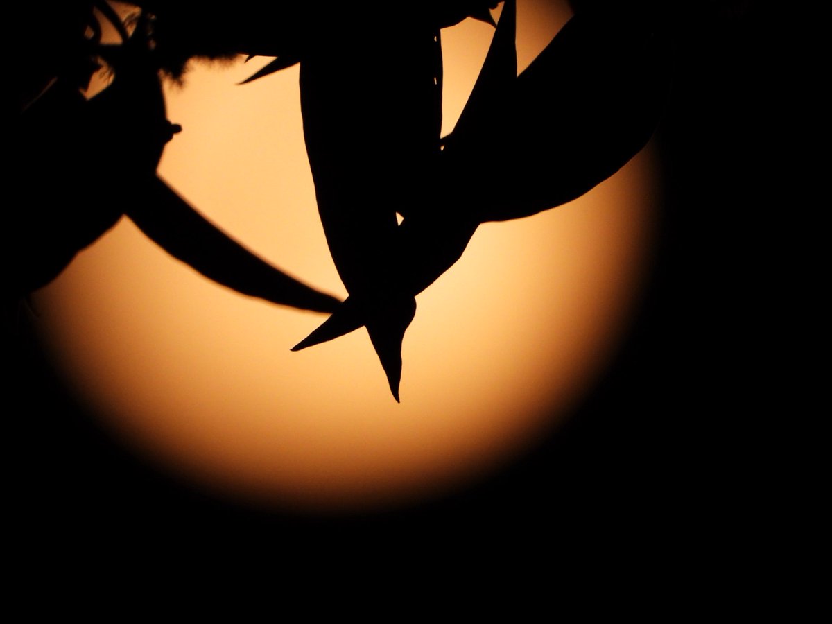 BethDuncan, M.Ed tweet media