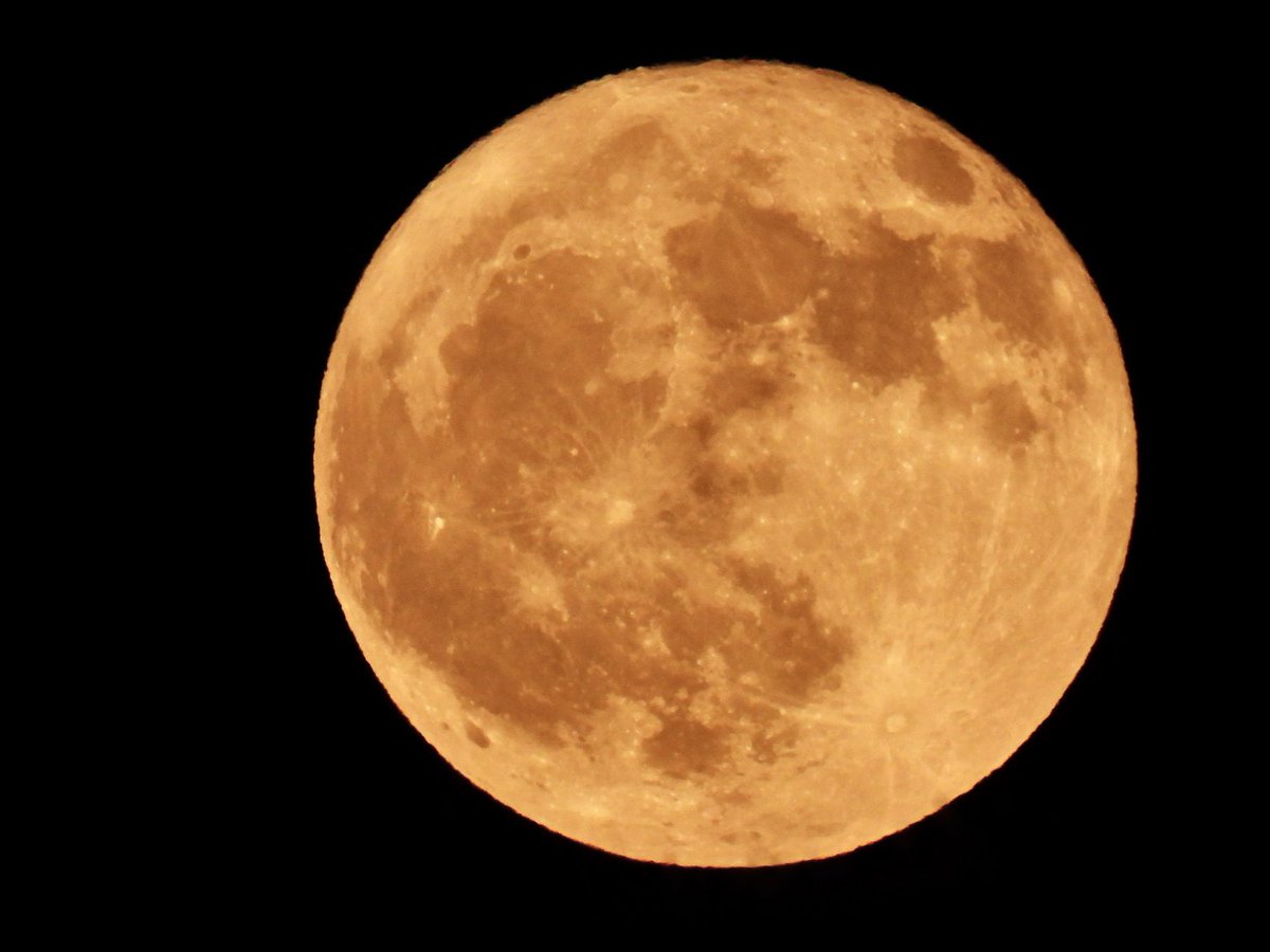 BethDuncan, M.Ed tweet media