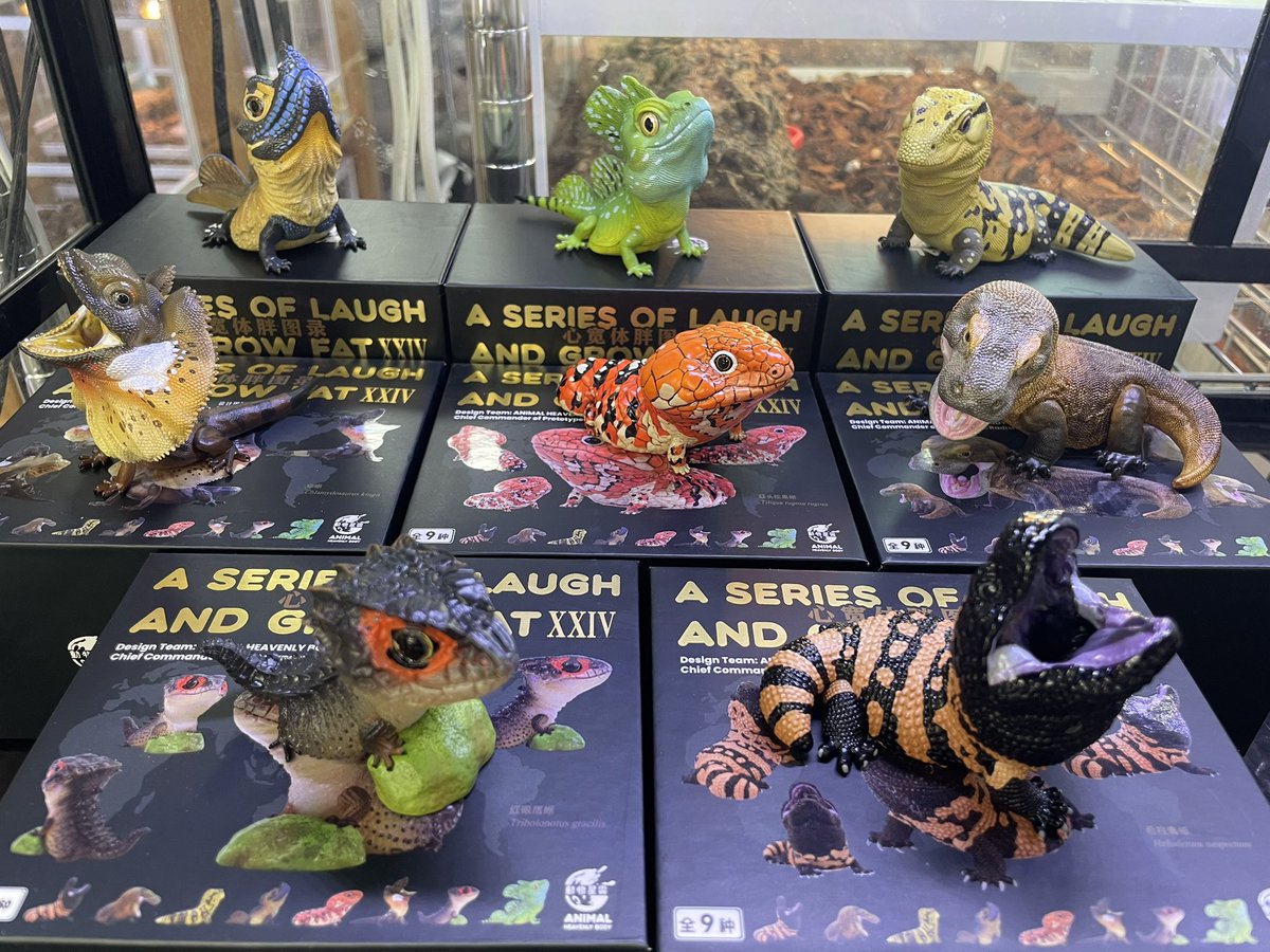 動物の惑星フィギュア大量入荷しました！ 新作のトカゲシリーズも到着