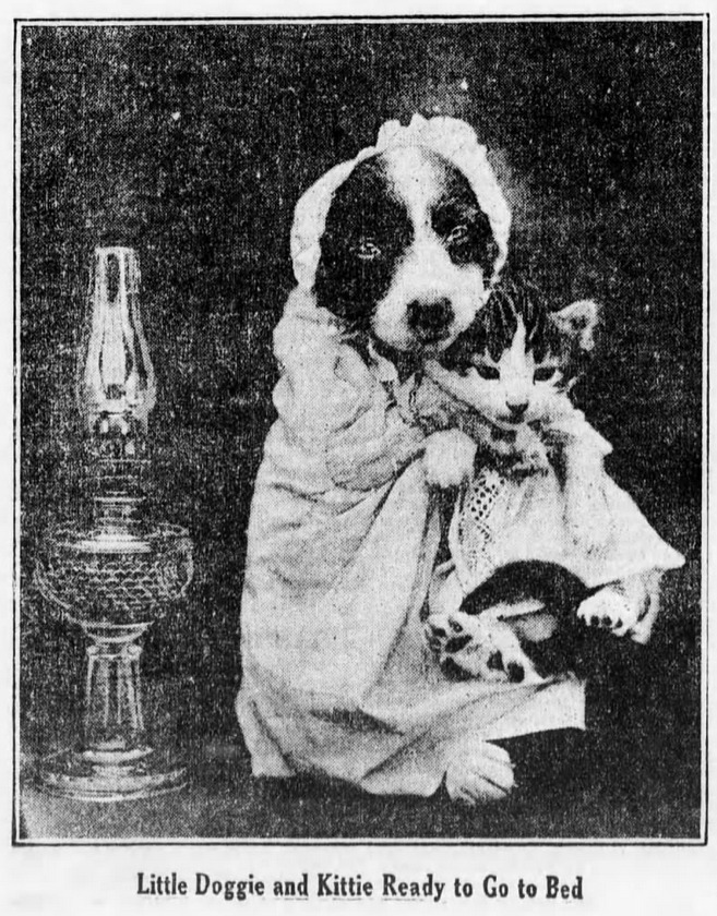 yesterdaysprint's tweet image. The Brooklyn Daily Eagle, New York, December 3, 1913