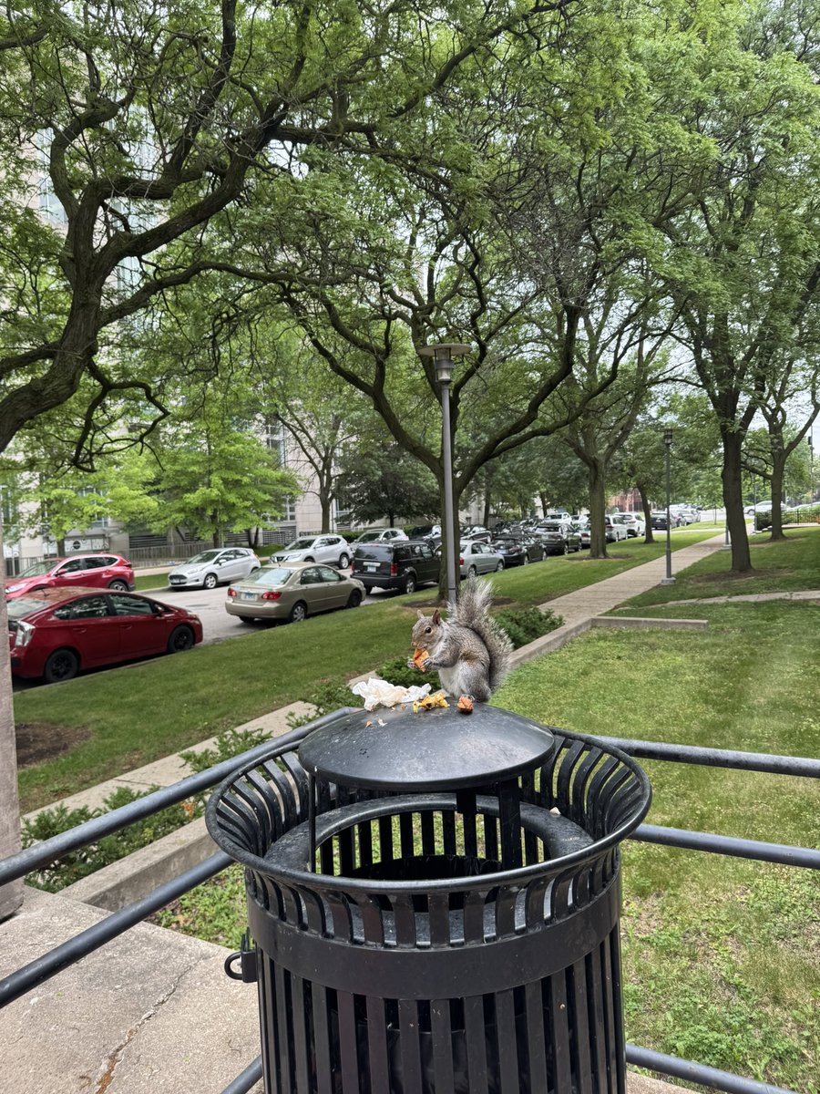 YvngBalmain_'s tweet image. Bro is hitting the oakmont #expand