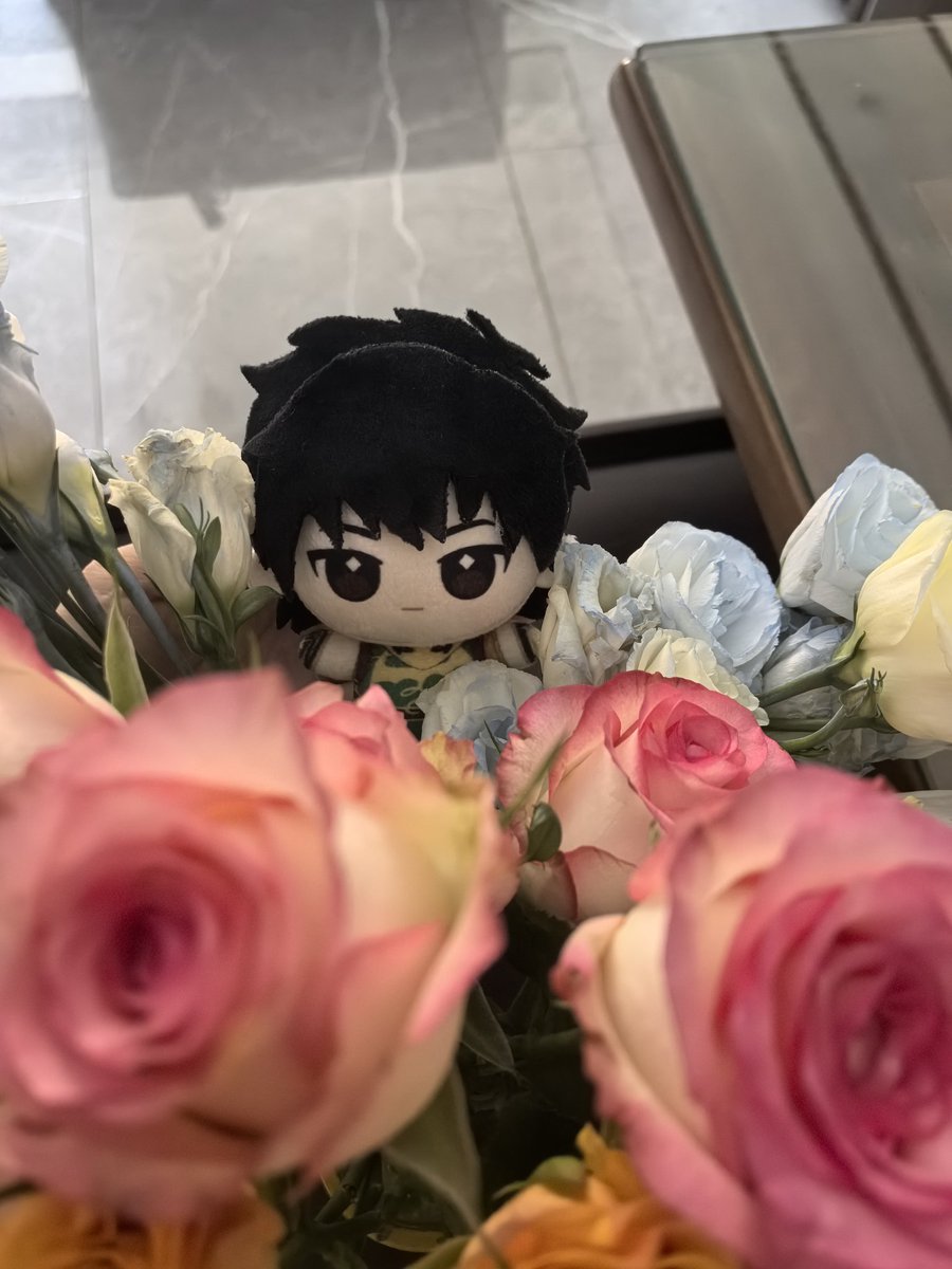 Hahahappywww's tweet photo. 我的花开了！拿烈烈和上师傅来拍照ƪ(˘⌣˘)ʃ
娃娃图纸来自@桔祥天女
#linlie #shangchi #IronFist https://t.co/4fxzeCksdO