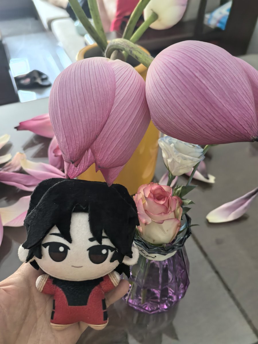 Hahahappywww's tweet photo. 我的花开了！拿烈烈和上师傅来拍照ƪ(˘⌣˘)ʃ
娃娃图纸来自@桔祥天女
#linlie #shangchi #IronFist https://t.co/4fxzeCksdO