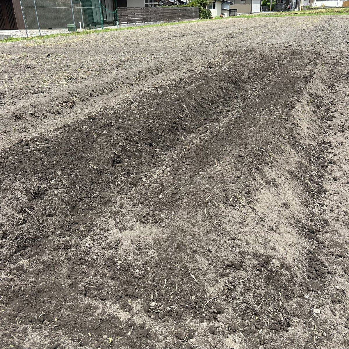 秋に向けて準備スタート。
歩みは遅いですが、少しずつでも前に
進めていく！