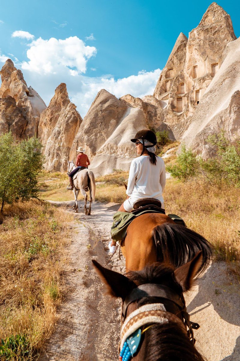 AcarUmut's tweet image. Happy #WorldHorseDay from #Cappadocia, the land of beautiful horses. 

World Horse Day is celebrated on July 11th. This day was officially designated by the UN General Assembly to honor the enduring relationship between humans and horses. It's a day to recognize the vital role