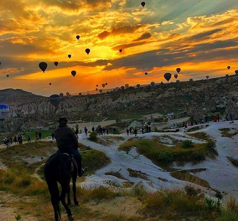 AcarUmut's tweet image. Happy #WorldHorseDay from #Cappadocia, the land of beautiful horses. 

World Horse Day is celebrated on July 11th. This day was officially designated by the UN General Assembly to honor the enduring relationship between humans and horses. It's a day to recognize the vital role