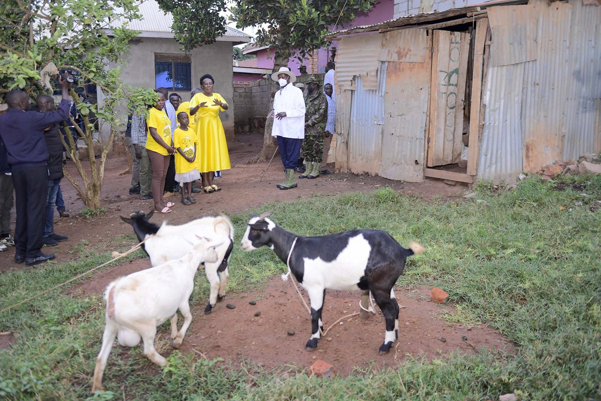 MityanaFinest's tweet image. He uses 3bn everyday ....... and here is how 3bn was spent to monitor a project of 3 goats...... Uganda Esinga Bulaaya!!!!