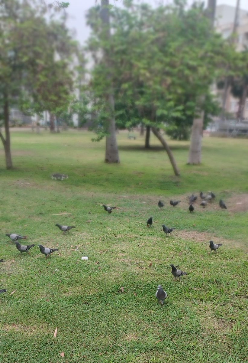 Rabbim!
Dün Sana sığındım...
Bugün de Sana sığınıyorum...
Yarın da Sana sığınacağım...

Bana Sana dua etmeyi unutturma...
Rızkımı arttır, şükrümü ziyadeleştir...
Beni sev, sevdir...
Bana yaşamanın da, ölmenin de hayırlısını nasip et Allah'ım.