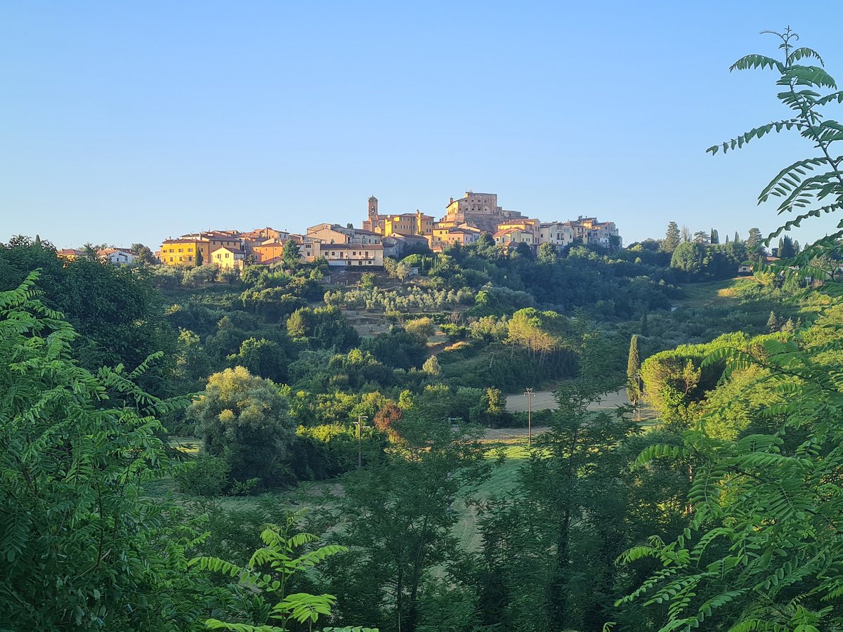 Ho ancora da pedalare un pò ma ci sono quasi 😜.
Buongiorno anime sportive, felice venerdì ☕️😘
#postisuggestivi