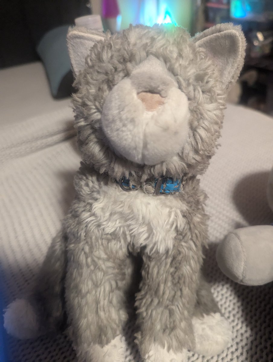 Jasperkitty151's tweet image. Lil Jaspy wishes everyone a good day or night, don't forget to take care of yourself&lt;3