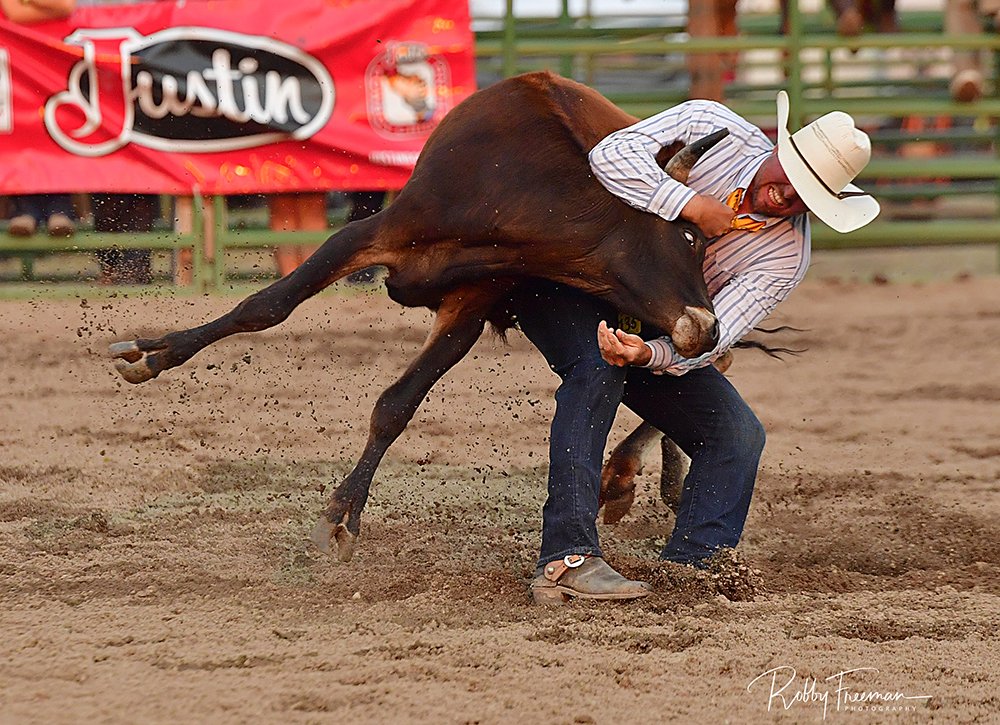 TwisTEDRodeo's tweet image. Cody Pratt has an affinity for #CattlemensDays Rodeo. He's had some serious success, and he compounded it by taking the steer wrestling lead during Thursday's opening night. twistedrodeo.com/2025/07/11/pra… 📸 Robby Freeman