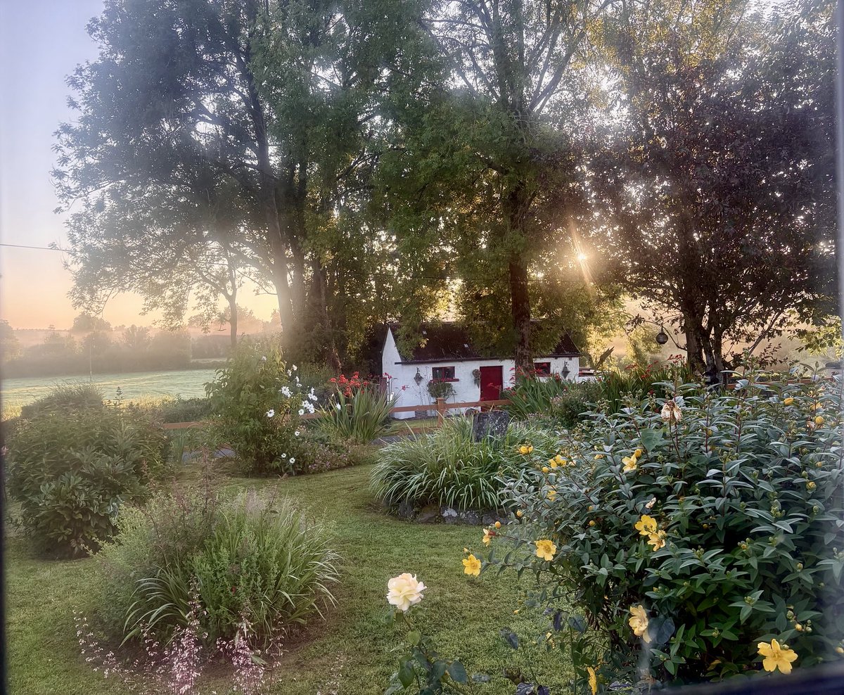 mtully21's tweet image. #ViewFromTheWindow
Looks like it’s going to be a sunshiny day.
Mother Nature opens its curtains to reveal her gift for today… peace and tranquility.
#ThisIsCavan

And it’s Good.