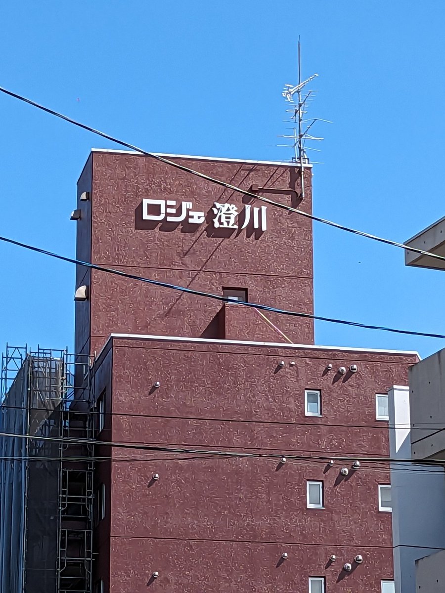 Cocci(コッチ) tweet media