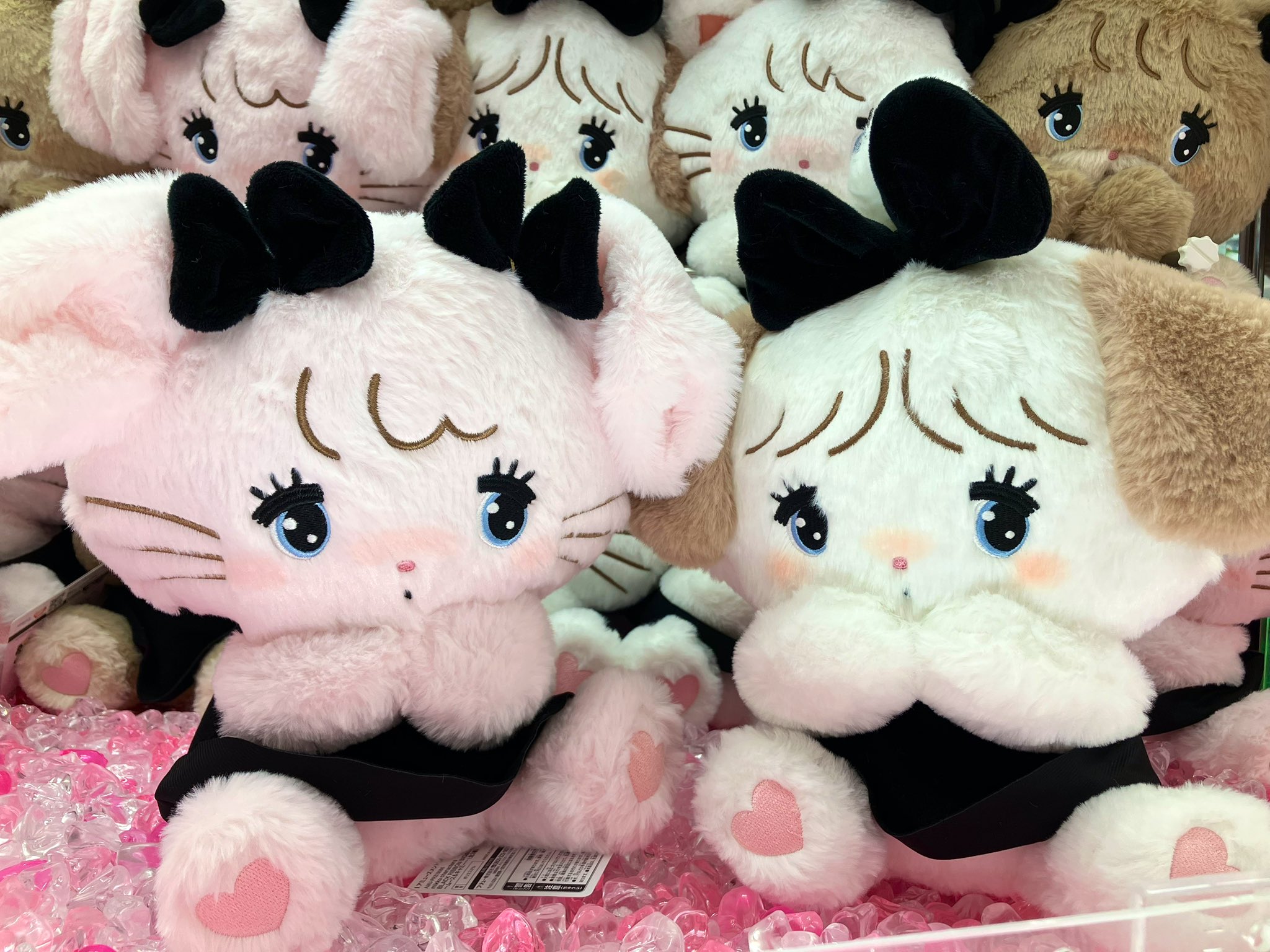 BLACK RIBBON BIGぬいぐるみ～スフレ＆ラテ～ ～ムース＆キャミー～ BLACK RIBBON BIGぬいぐるみ～スフレ＆ラテ～ ～ムース