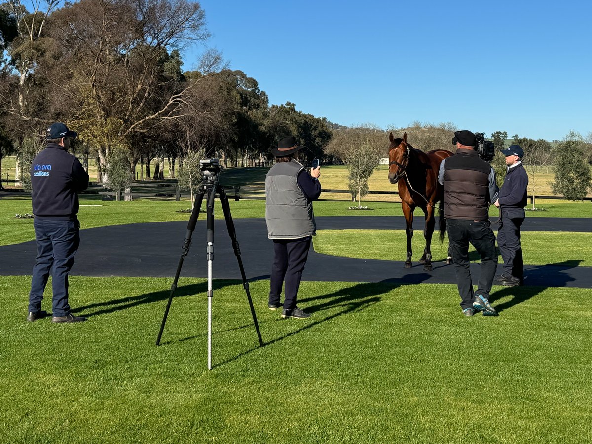 It's always a pleasure having Caroline Searcy at the farm, this time to film a Bred To Win feature on our leading young sire Farnan 🎥
 
#KiaOraStallions