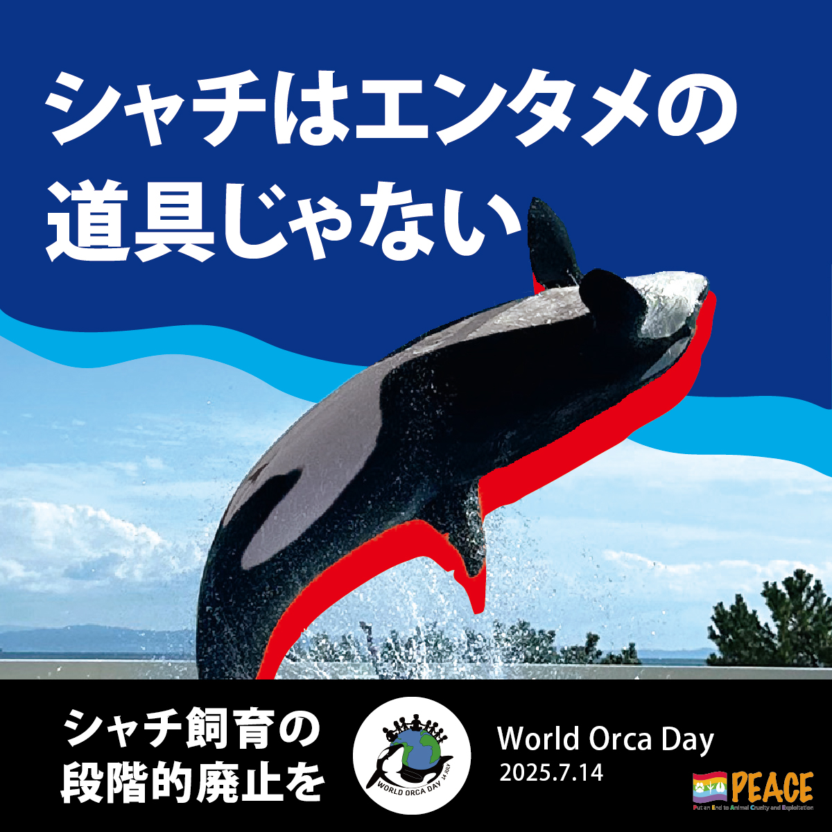 7月14日は #世界シャチの日 水族館の小さなプールにシャチを閉じ込めて