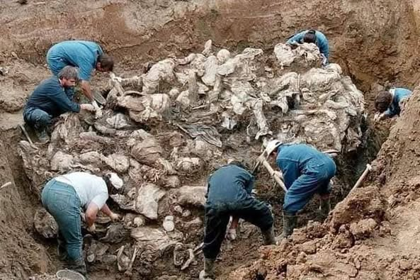Srebrenitsa Soykırımı'nda hayatını kaybeden #Bosnalı şehitlerimizi rahmetle anıyorız.
#Srebrenitsa  11 Temmuz 1995
Srebrenitsa Katliamı 📌Bosna’da Toplu Mezarları Ortaya Çıkaran Mavi Kelebeklerin Hikayesi 🖤
Tarihin, en acı olaylarının yaşandığı ve insanlık dışı katliamlarının