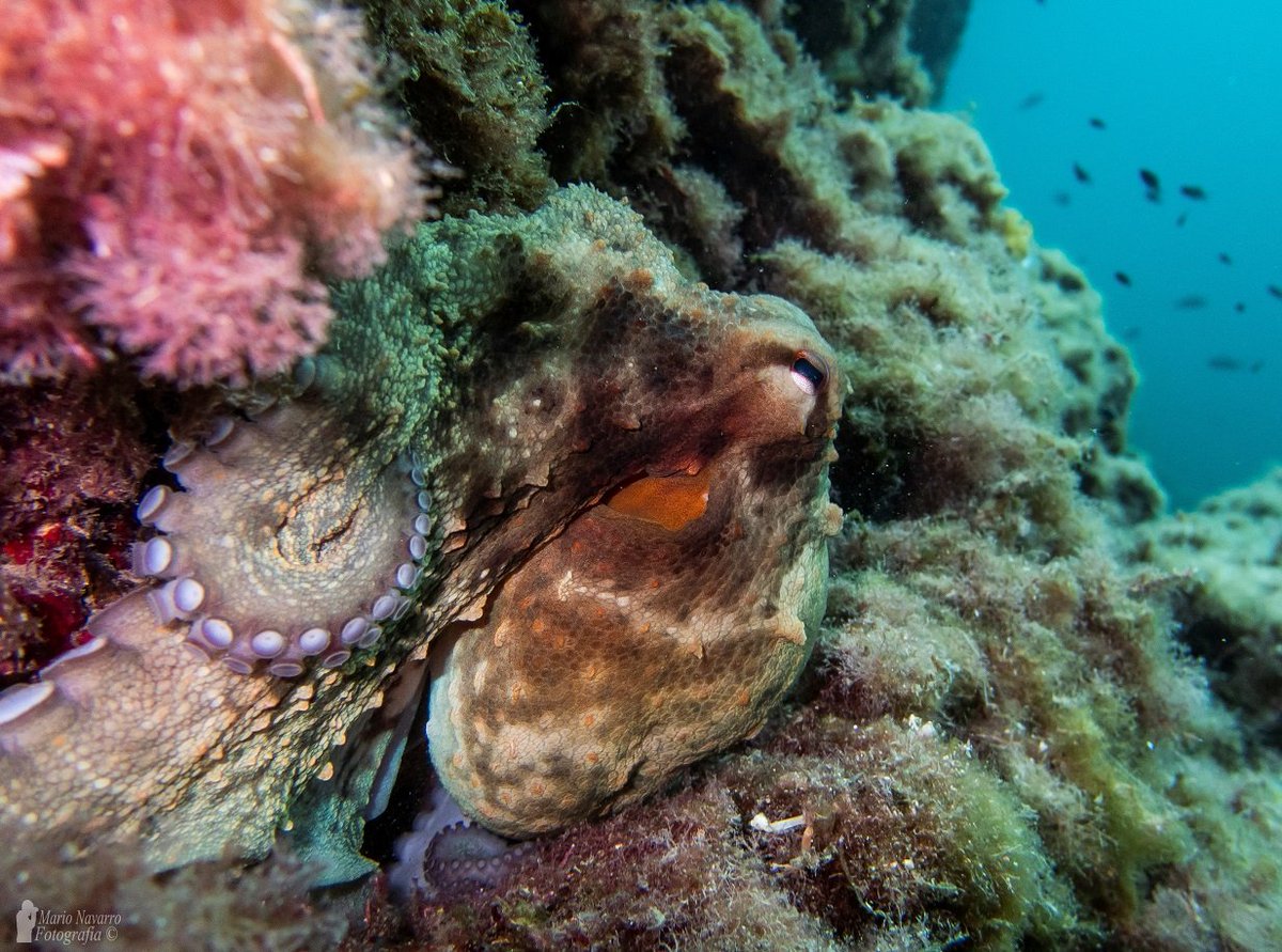 Jornadas increíbles descubriendo estos rincones llenos de vida. Algunas fotos de estos primeros días de julio.