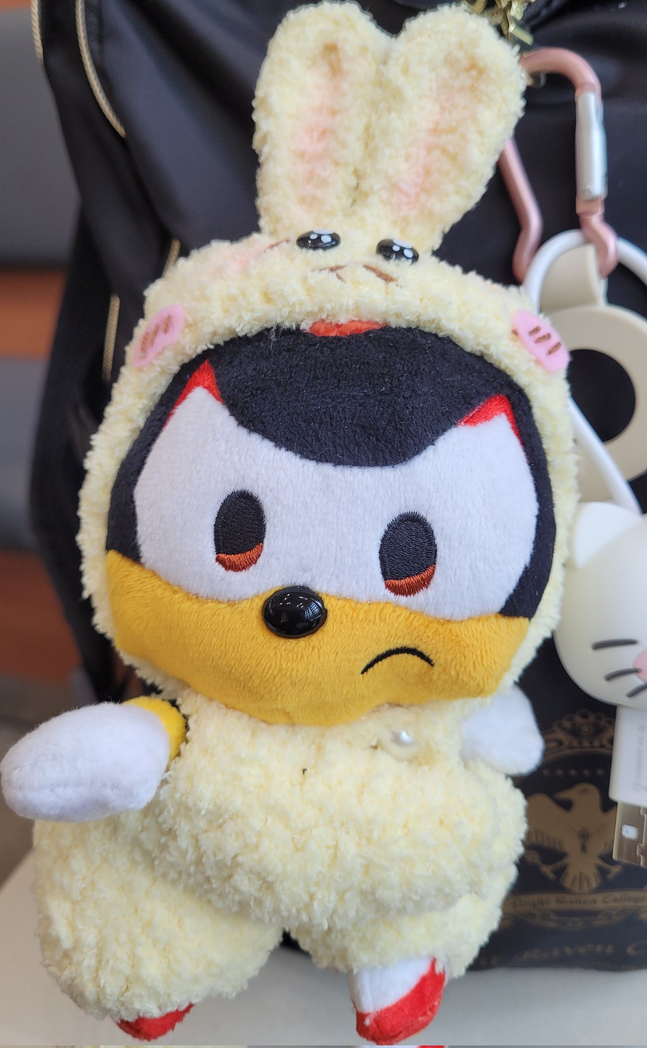 *‎ฅ猫又*ฅ 把脚弄这么脏😤 #cat
