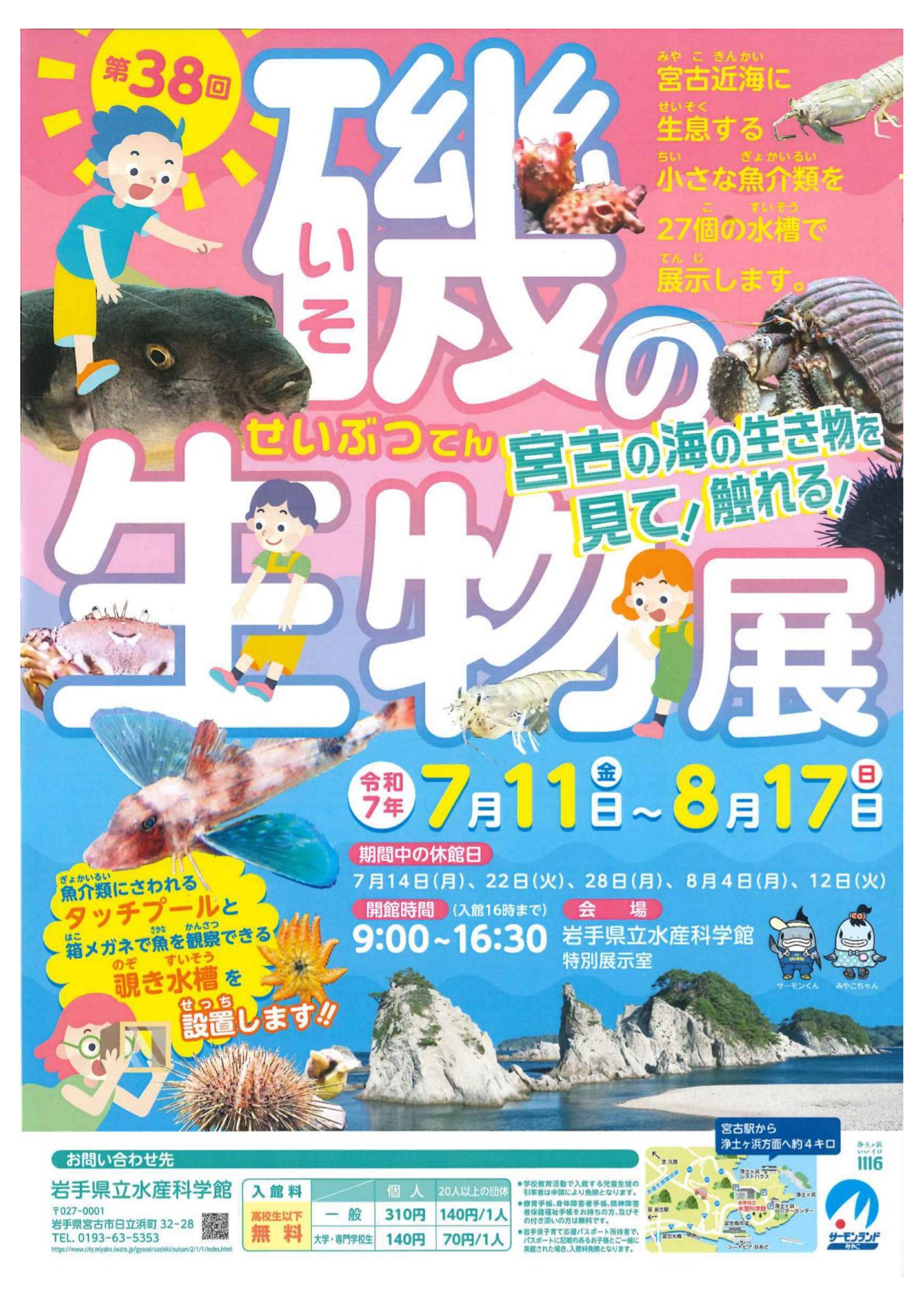 海底の古備前 水ノ子岩学術調査記録 山陽新聞社 1978年　未使用品　送料込み 海底の古備前 水ノ子岩学術調査記録 山陽新聞社 1978年 未使用品