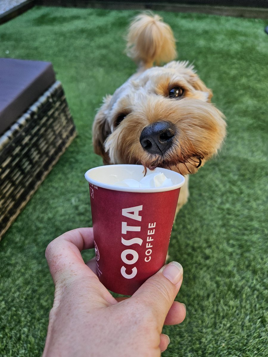 When it's already too warm for Luna to go to <a href="/CostaCoffee/">Costa Coffee</a> so you improvise!! 🌞🌞🐕🐕