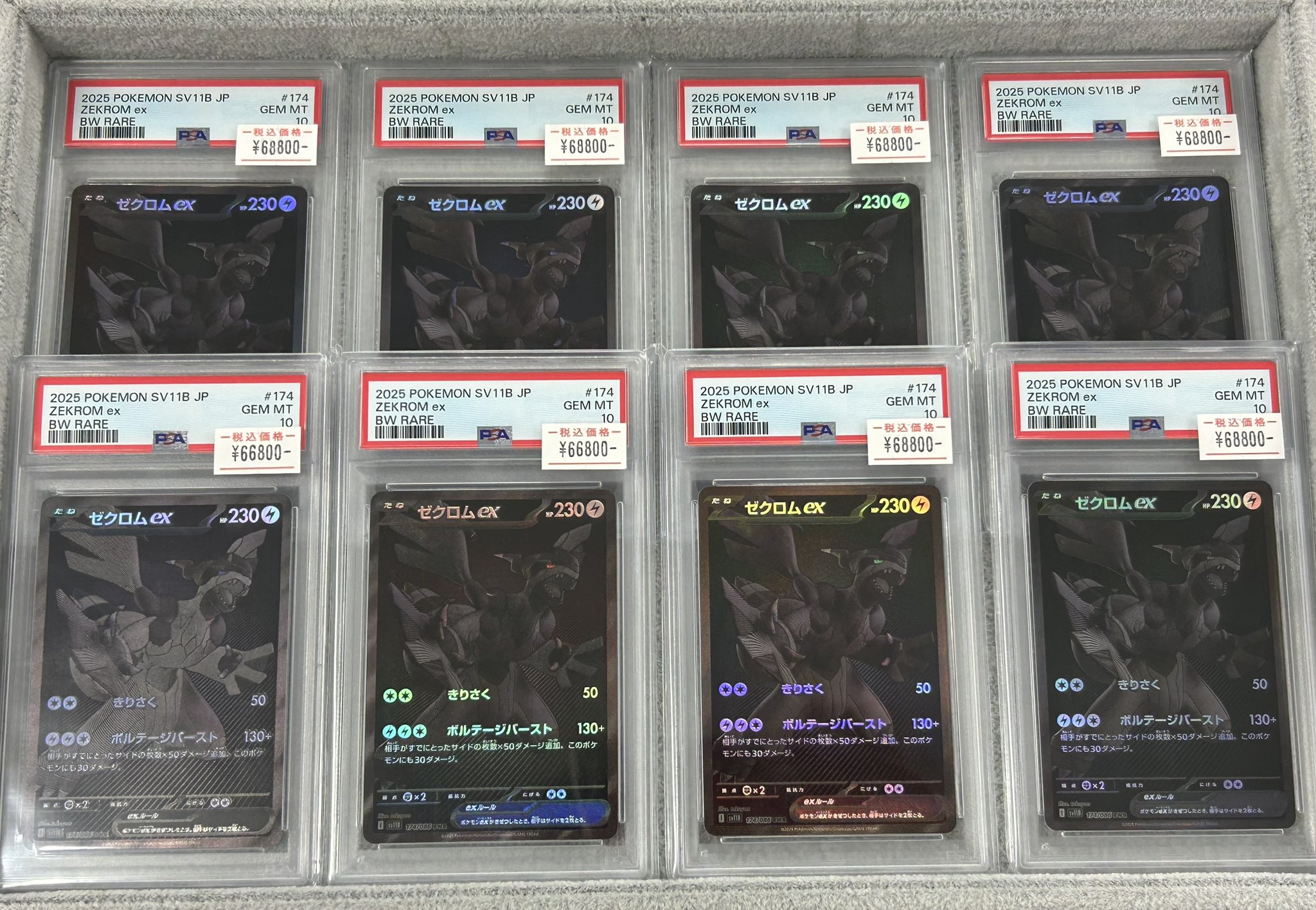 TCG DREAM 大阪 日本橋 on X: 