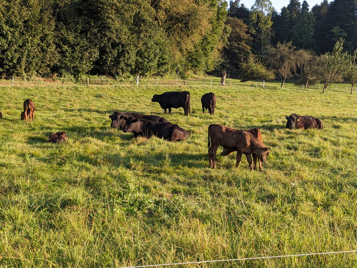 GM and TGIF with a new $BTC ATH, as the alpha male shot past $117,000 today! ☀️

The bulls are in full force and I'm still watching from the sidelines, waiting for the ultimate altseason to come... It will come.

Let us all retire when $RIO hits $30 and $TAO flies past $5,000! 🔥