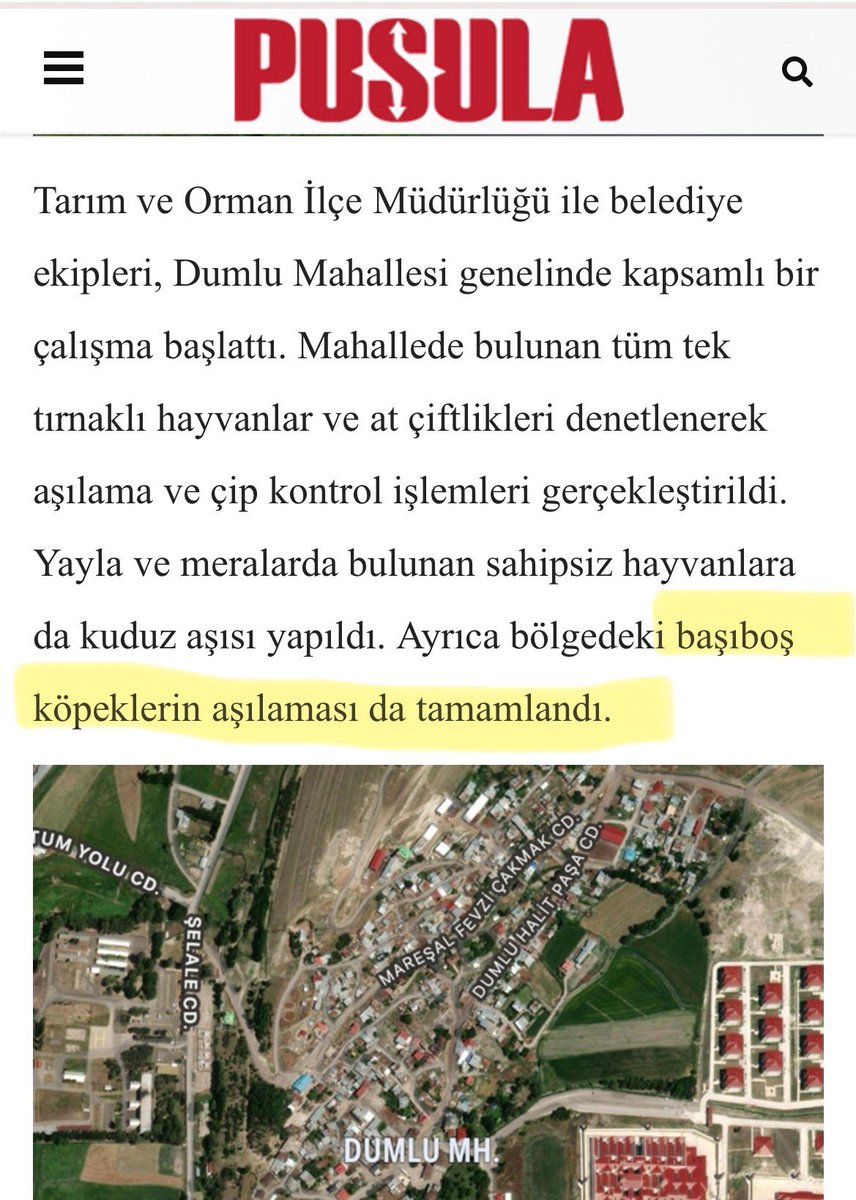 Prof Dr. Nebahat BULUT (@bulutgulcun) on Twitter photo Sayın Hocam <a href="/NiluferSabuncu/">Prof.Dr. Nilüfer Sabuncuoğlu</a> bir kuduz bölgesinde başıboş kedi ve köpekler kuduza karşı aşılanır mı?
#sokaktabaşıboşolmaz
#erzurumdakuduz Sayın Hocam <a href="/NiluferSabuncu/">Prof.Dr. Nilüfer Sabuncuoğlu</a> bir kuduz bölgesinde başıboş kedi ve köpekler kuduza karşı aşılanır mı?
#sokaktabaşıboşolmaz
#erzurumdakuduz