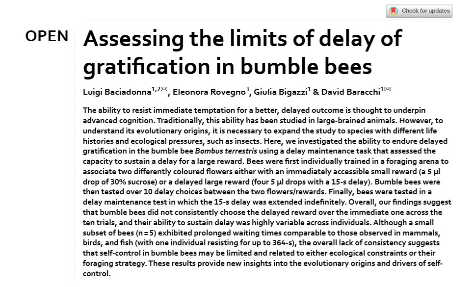 David Baracchi (@david_baracchi) on Twitter photo Can bumblebees resist temptation? A few showed striking self-control - waiting over 5 minutes for a better reward - but most went for instant gratification.
With @LuigiBaciadonna <a href="/eleonorarovegno/">Eleonora Rovegno</a> <a href="/GiulsSpice/">Giulia Bigazzi</a>
check the work here:
nature.com/articles/s4159… Can bumblebees resist temptation? A few showed striking self-control - waiting over 5 minutes for a better reward - but most went for instant gratification.
With @LuigiBaciadonna <a href="/eleonorarovegno/">Eleonora Rovegno</a> <a href="/GiulsSpice/">Giulia Bigazzi</a>
check the work here:
nature.com/articles/s4159…