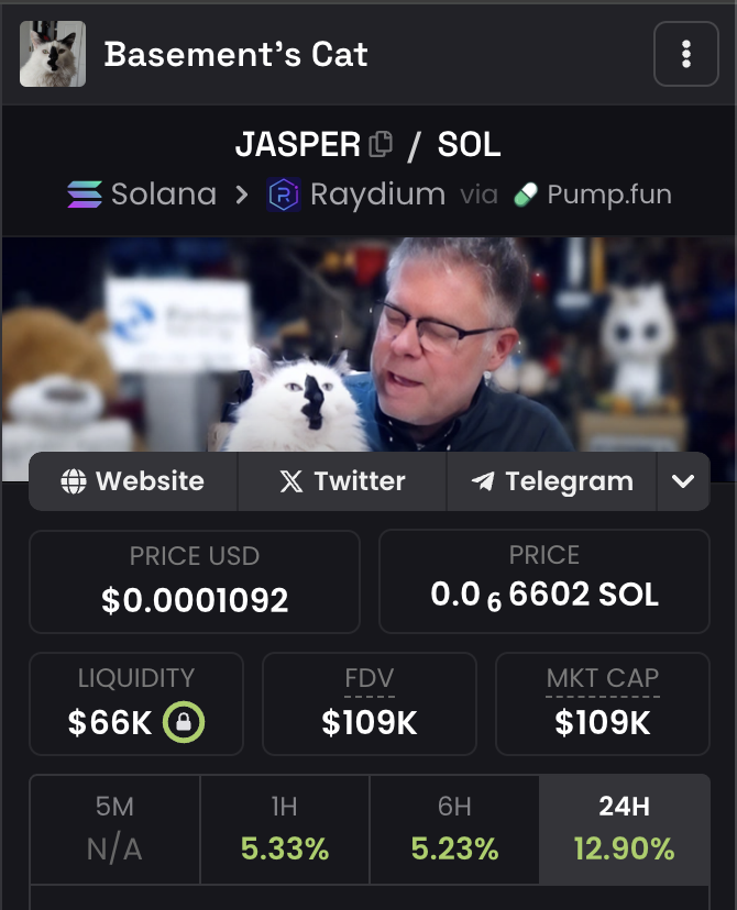 You think $UFD's run is gonna be crazy??

Just wait until crypto twitter finds out Ron has a cat 🤣

$JASPER 🐈‍⬛🚀