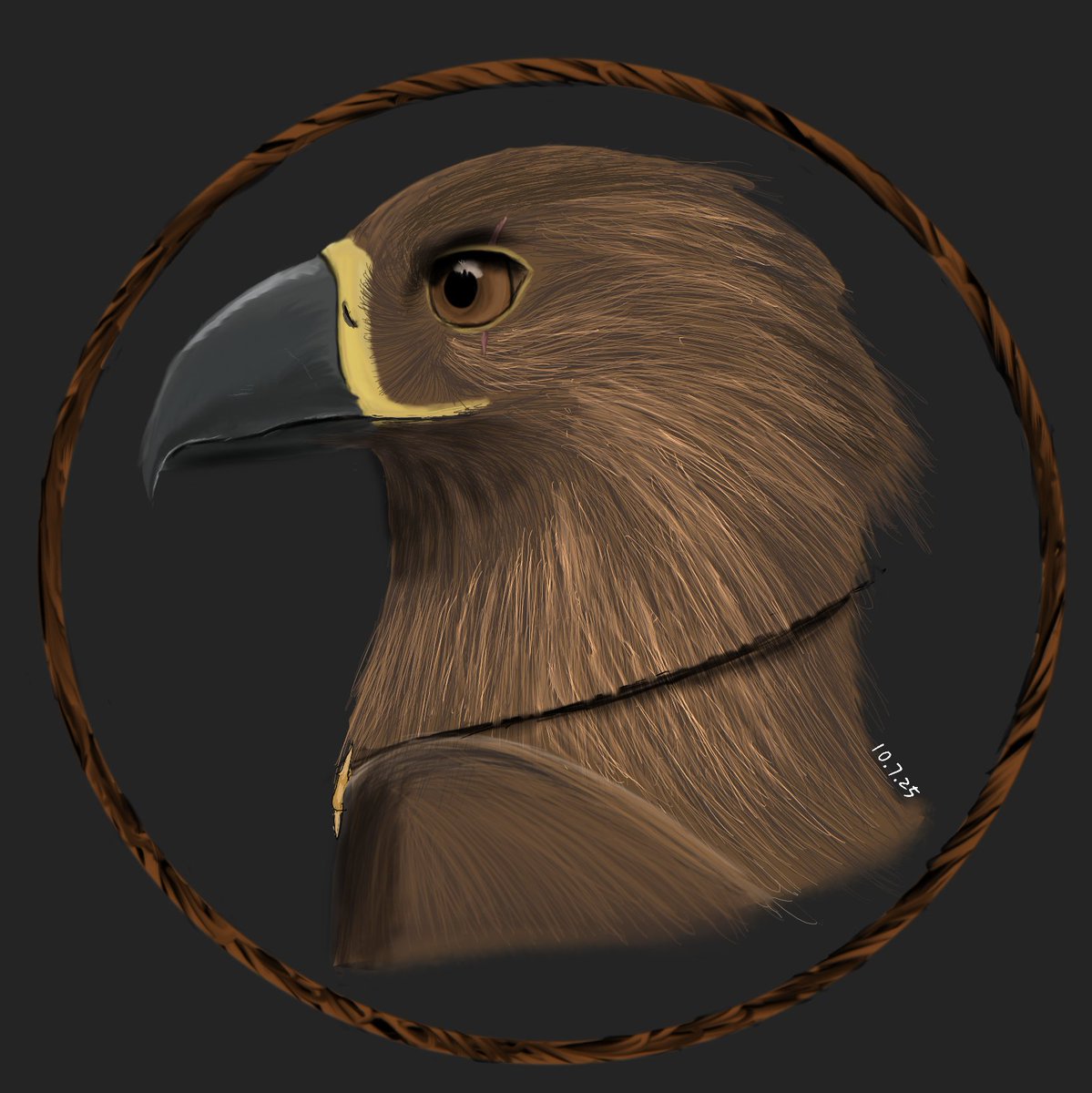 (Art Fight #5)

Character: Eagle
Owner: Twigbird (ArtFight)
#artfight #artfight2025