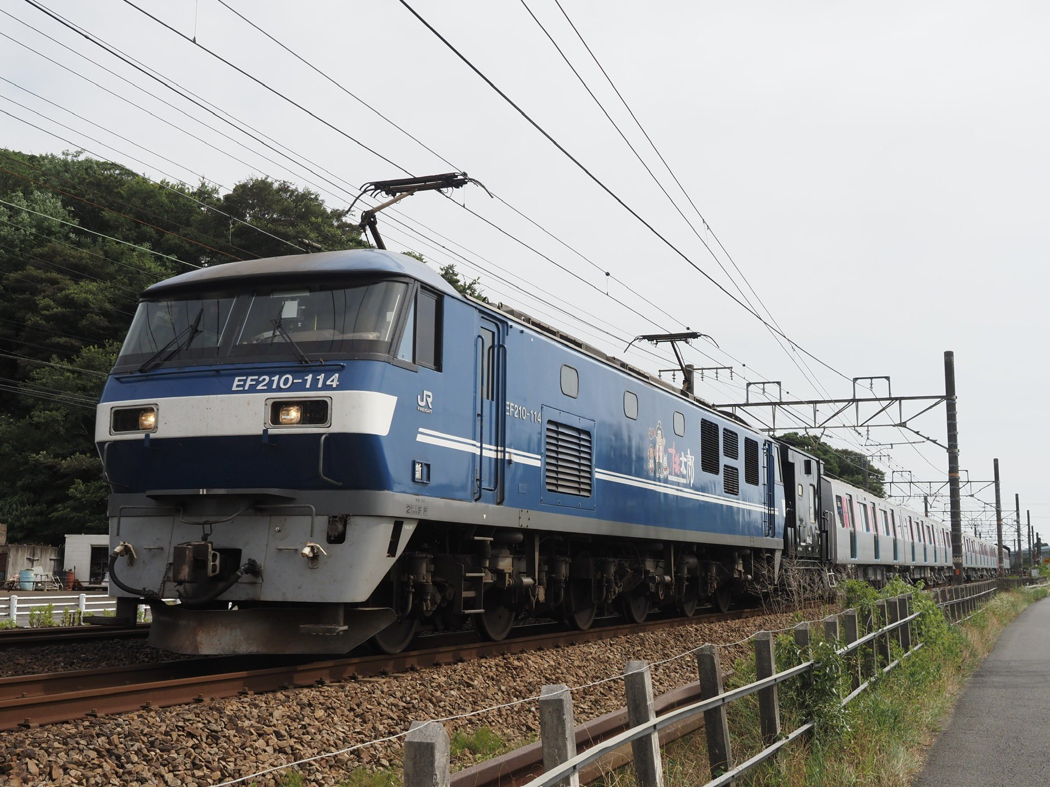 45.せとか12キロ 甲信越、関東料金 20220914074811_page-0001-1-