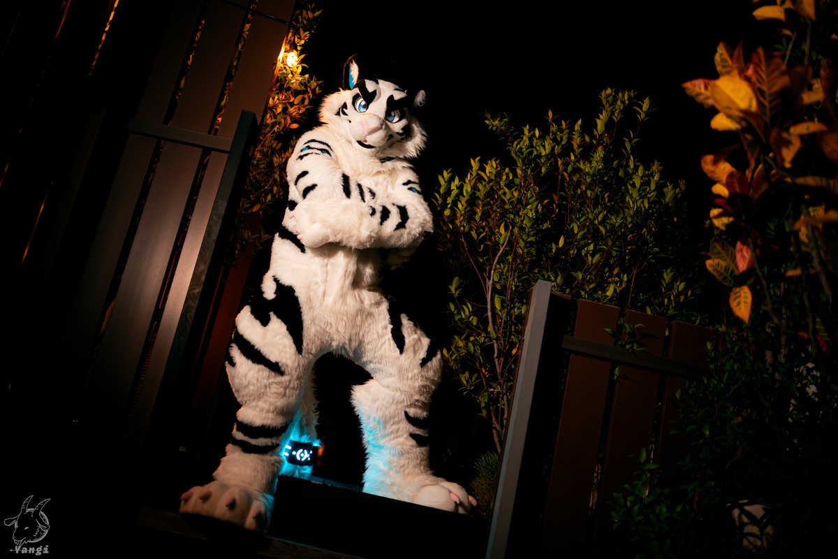 白虎 BaiHu (@whitetigertw) on Twitter photo Ready to dive into a new adventure?
新しい冒険、始める準備できてる?
📸:<a href="/goat83262/">Yangi🔜UTFG</a>
✂️:<a href="/BK_fursuit/">BK Fursuit</a>
#FursuitFriday Ready to dive into a new adventure?
新しい冒険、始める準備できてる?
📸:<a href="/goat83262/">Yangi🔜UTFG</a>
✂️:<a href="/BK_fursuit/">BK Fursuit</a>
#FursuitFriday
