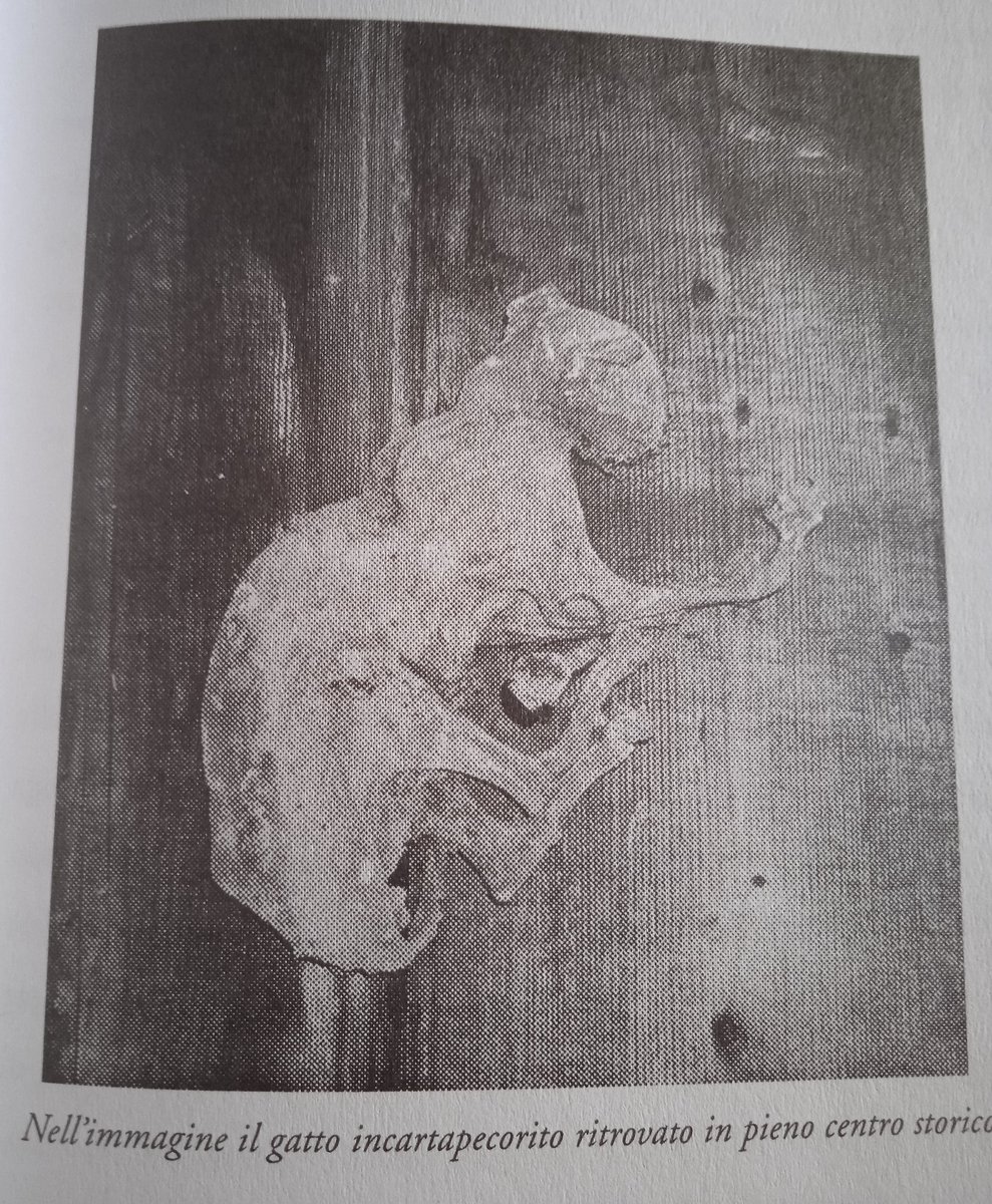 rinaldober4501's tweet image. GARLASCO, 23 febbraio 2000. In vicolo del Voltone, vicino San Rocco, viene inchiodato a un portone un gatto in stadio incartapecorito. Si tratta di un oscuro atto da decifrare. La foto nel 2006 diventerà la copertina di "Satana in Ticino"
