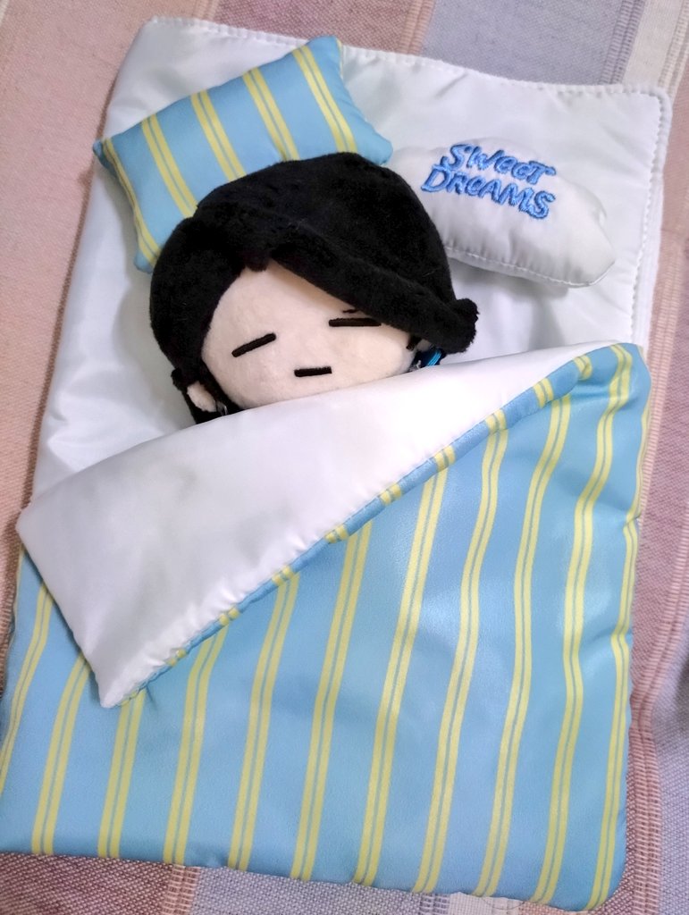 toya12_kp's tweet image. ふかふかのオフトン🩵☁️ぬいにジャストフィット
※ブックカバー