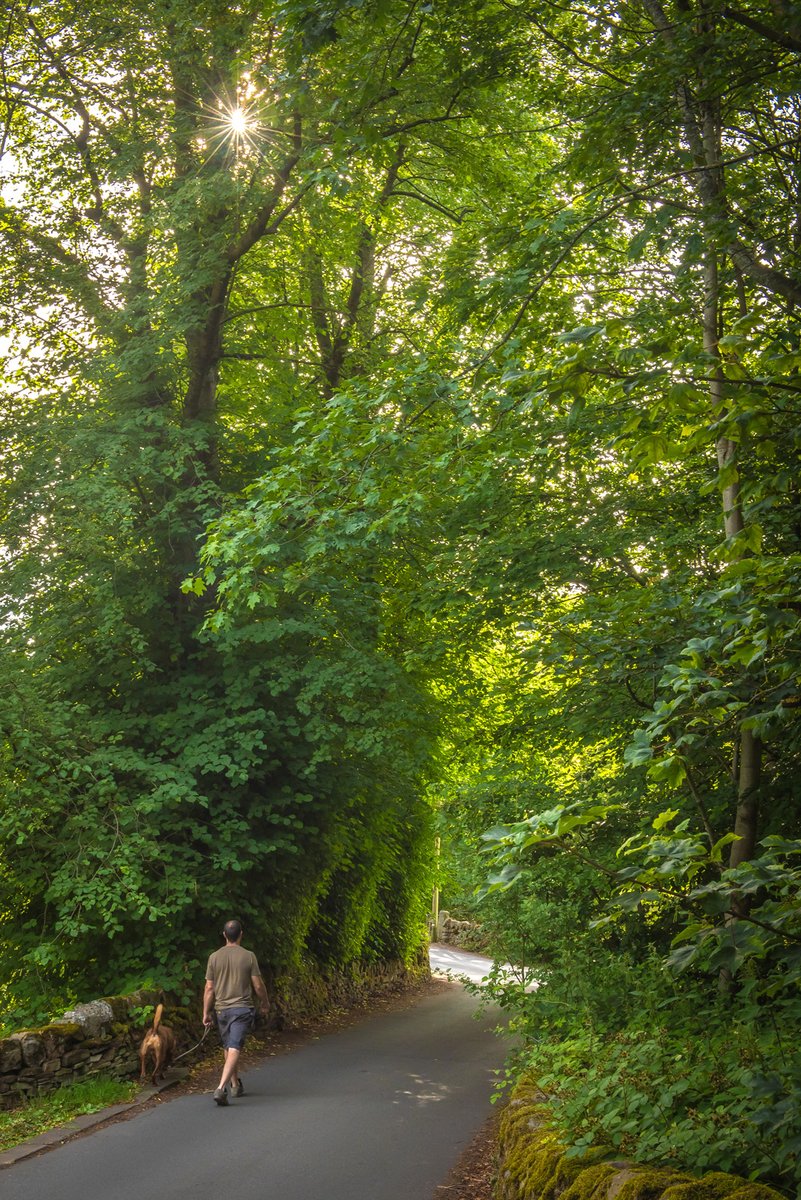 AFowlerPhoto's tweet image. A summer stroll. 
Lord Bridge, Haworth.