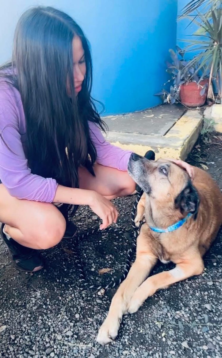 Hola, Soy Danna. Y soy la que tiene a Osito, el perrito que fue agredido con una pala por un psicopata. Acabo de hacer esta cuenta. No le entiendo. Osito será operado el sábado.