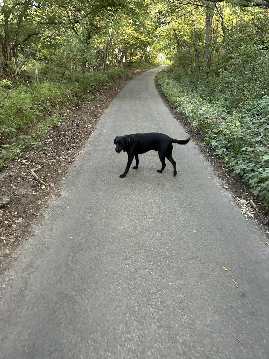 The South Downs look beautiful - have a great Friday!🤩