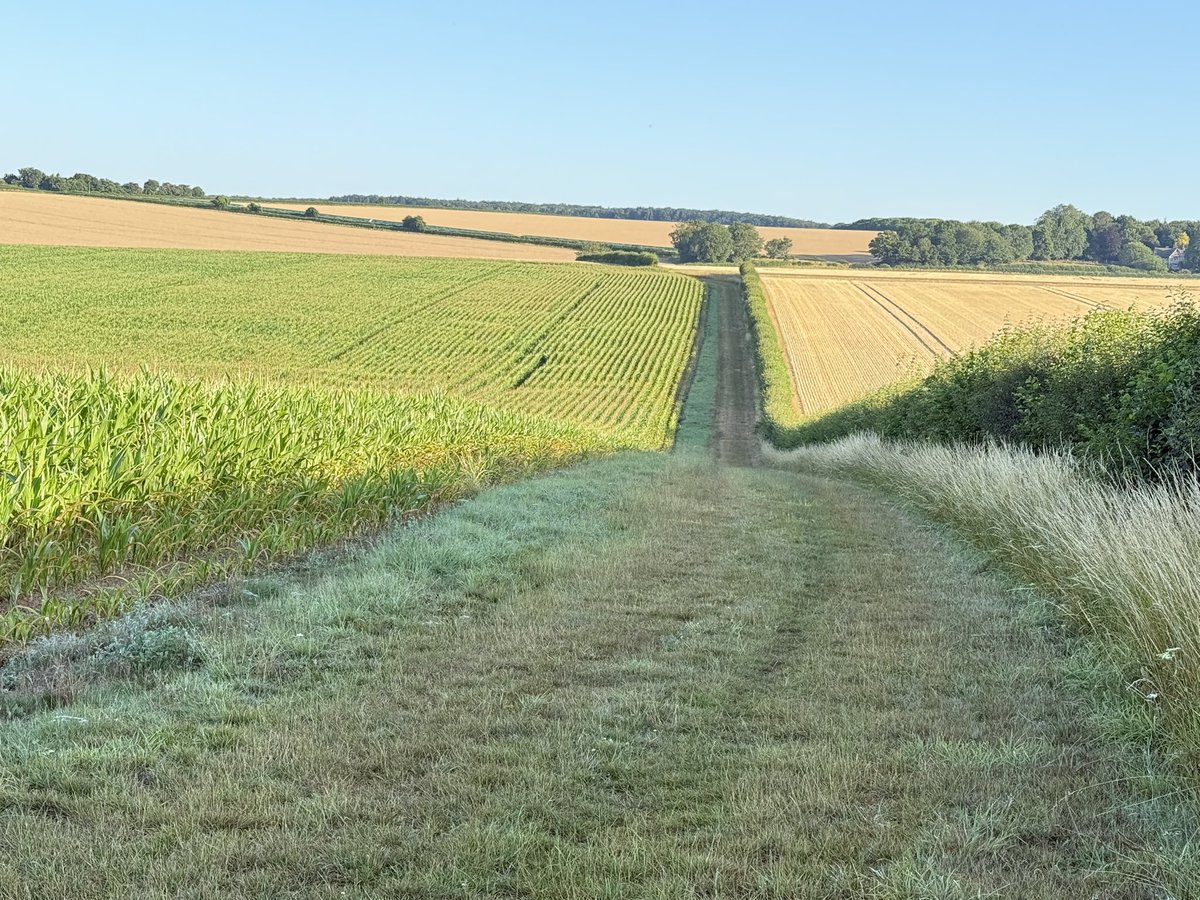 AlastairBruce_'s tweet image. Walking through dew covered grasses awaiting the heat #GoodMorning