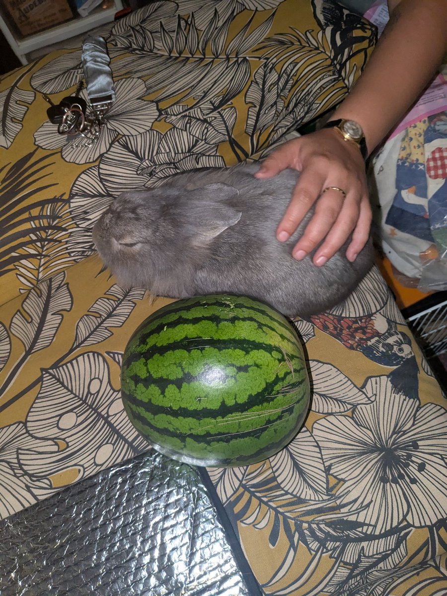 acciobomer's tweet image. Tiny watermelon and tiny baby