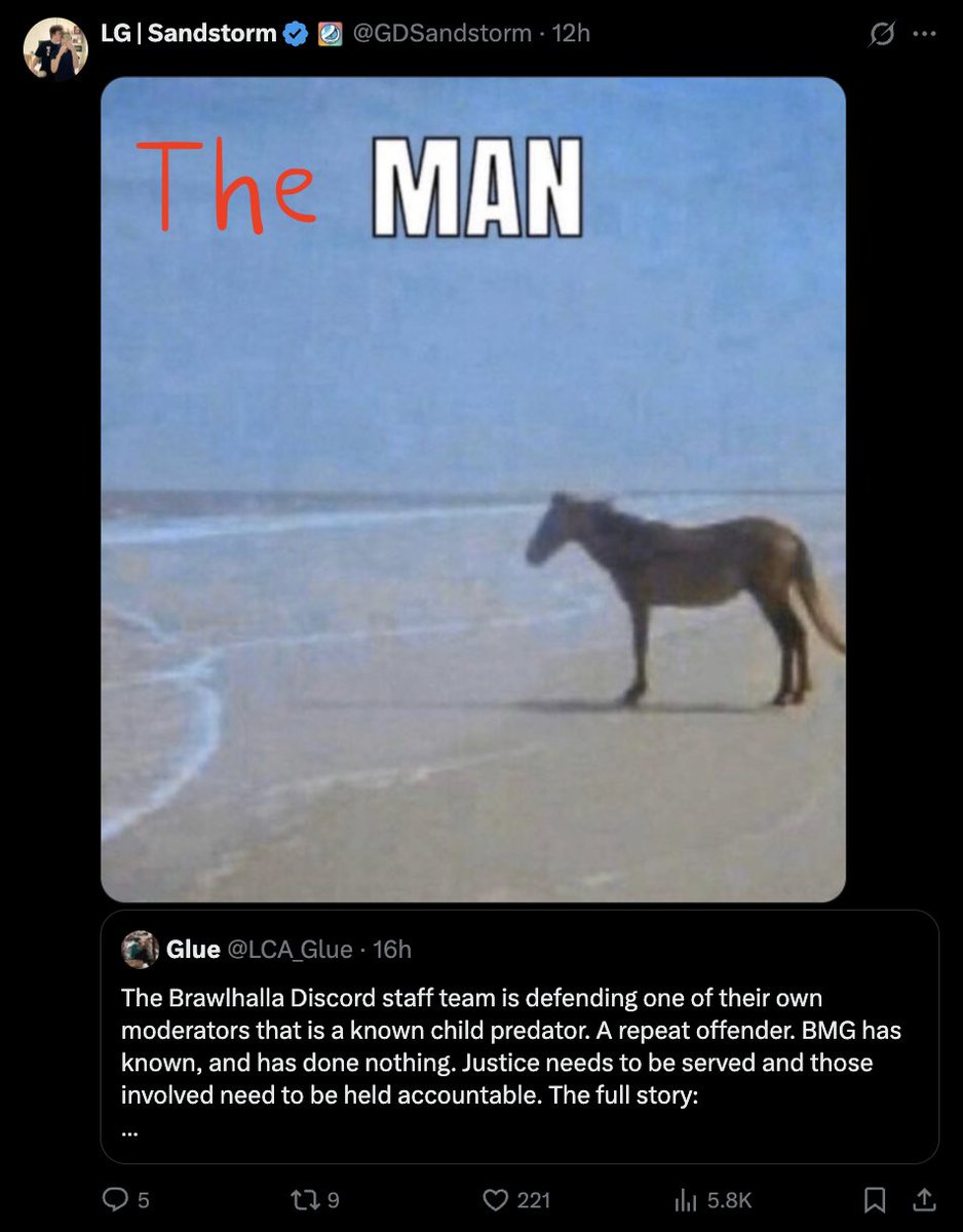 I can't believe Sandstorm just gave me a shoutout I'm honoured #Brawlhalla