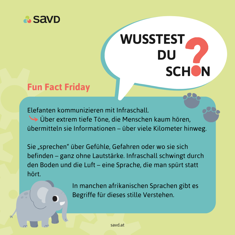 Videodolmetsch's tweet photo. 🐘 Fun Fact Friday – #3
Elefanten „sprechen“ mit Infraschall – Tönen, die so tief sind, dass wir sie kaum hören.
Über Kilometer hinweg übermitteln sie Warnungen oder Gefühle – ganz ohne Worte.
Sprache kann man auch spüren. 🌍🔊
#FunFactFriday #SAVD #Infraschall #Sprachvielfalt https://t.co/4cOlrCy0Wz
