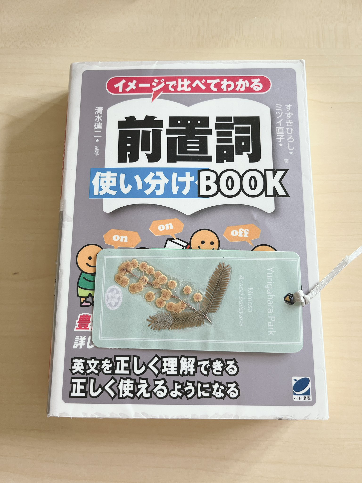 Amazon | 両頭木ネジ、4 個高硬度防錆 PV | 木ねじ | DIY・工具