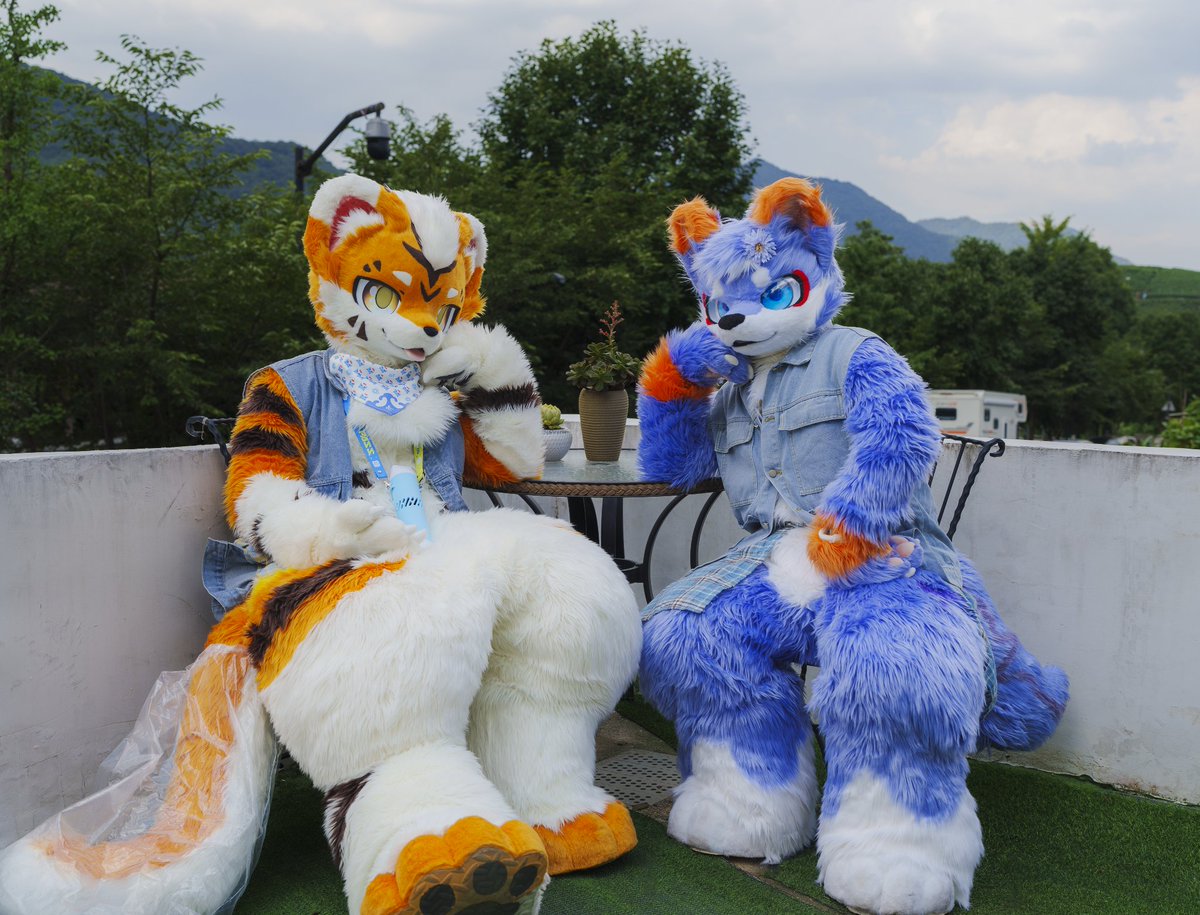 baicai_coin's tweet image. “要来加入我们的茶会吗~”
芋泥小狼：@MuningWolf 
📷：@FasLigand96 
#FursuitFriday