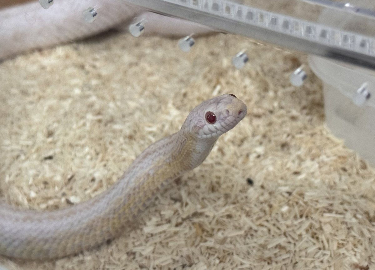 今日もかわいいね