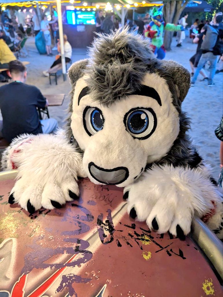 WhiteLion. (@whhitelionn) on Twitter photo Can i pat please? ❤️☺️
📷 instagram.com/greensy_the_gr…
🪡<a href="/CeeGeeFursuit/">Stracia 🐾🔜Eurofurence 29</a>: WhiteLion
Happy #FursuitFriday 😄 for everyone. 🥰 Can i pat please? ❤️☺️
📷 instagram.com/greensy_the_gr…
🪡<a href="/CeeGeeFursuit/">Stracia 🐾🔜Eurofurence 29</a>: WhiteLion
Happy #FursuitFriday 😄 for everyone. 🥰
