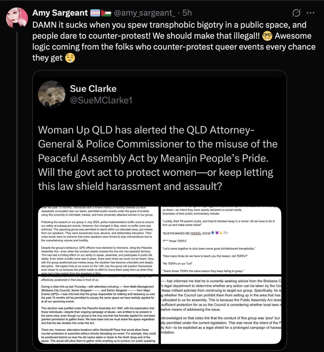 SueMClarke1's tweet image. Once again, Aden Sargeant gaslights and lies. We’ve never been to their events — and he knows it. Like a true narcissist, he smears women without blinking. We believe in free speech, we don’t attend their events. Period. #Wanker