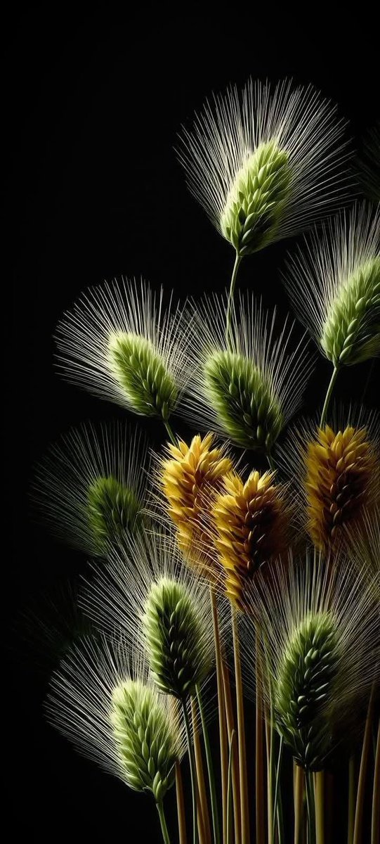 I'd like to thank my friends who liked my posts, retweeted them, and said good morning or good evening. (Since I have limited time, I can only reply to comments; I can't comment too much.) I wish everyone a happy weekend.🙏