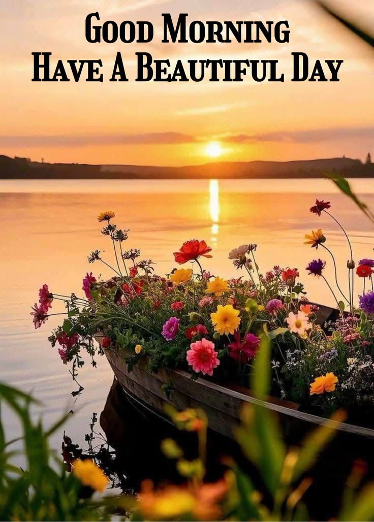 OhoraEmily's tweet image. Good morning me beautiful darlings ☕️☀️ happy sensational Friday to you all 🥰 have a fabulous day whatever you may be doing 🤗 the weekend is upon us 👍 sending lots of blessings.. love.. hugs &amp;amp; best wishes. Take care 💛🫂🙏🪷🙌🏵🌸🌻🌄🫶😎🌤🌷xoxo
