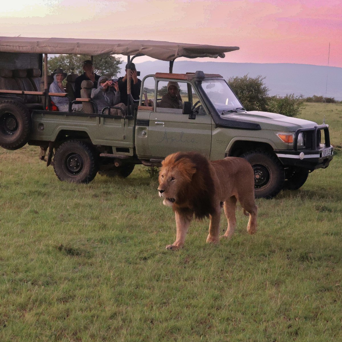 UsahihiNME's tweet image. Beyond Tsavo and the Coast,  #UsahihiNME will spotlight lesser-known destinations—turning stopovers into experiences and boosting local tour operators. #ExploreKenya #TheNewWay